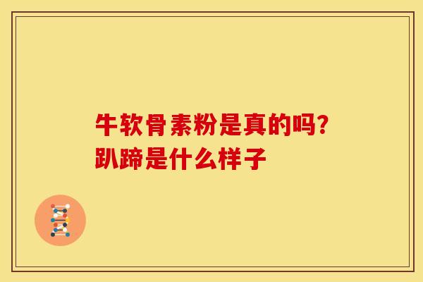 牛软骨素粉是真的吗？趴蹄是什么样子