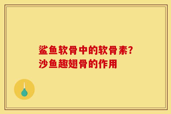 鲨鱼软骨中的软骨素？沙鱼趣翅骨的作用