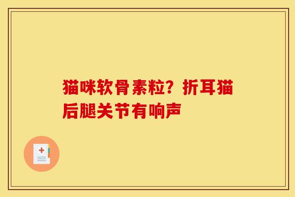 猫咪软骨素粒？折耳猫后腿关节有响声