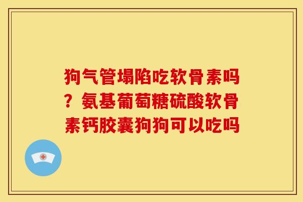 狗气管塌陷吃软骨素吗?氨基葡萄糖硫酸软骨素钙胶囊狗狗可以吃吗-第1张图片-关节骑士 狗气管塌陷吃软骨素吗?氨基葡萄糖硫酸软骨素钙胶囊狗狗可以吃吗-第1张图片-关节骑士