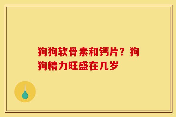 狗狗软骨素和钙片？狗狗精力旺盛在几岁