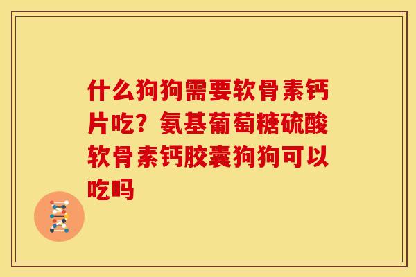 什么狗狗需要软骨素钙片吃？氨基葡萄糖硫酸软骨素钙胶囊狗狗可以吃吗