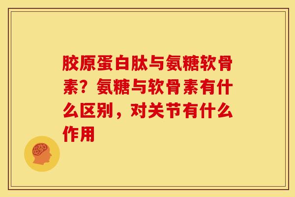 胶原蛋白肽与氨糖软骨素？氨糖与软骨素有什么区别，对关节有什么作用