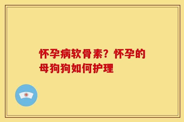怀孕病软骨素？怀孕的母狗狗如何护理