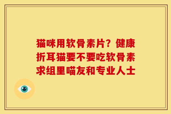猫咪用软骨素片？健康折耳猫要不要吃软骨素求组里喵友和专业人士