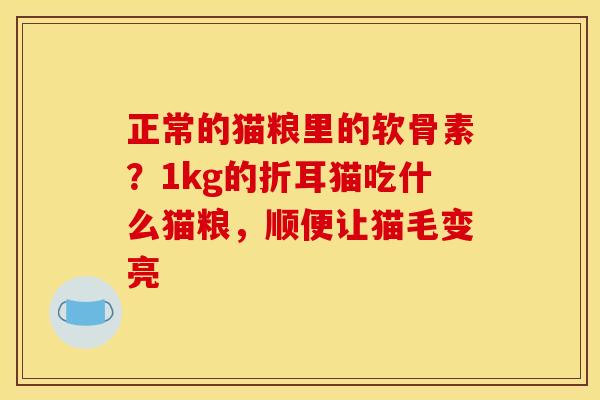 正常的猫粮里的软骨素？1kg的折耳猫吃什么猫粮，顺便让猫毛变亮