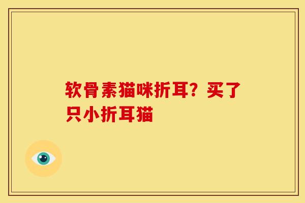 软骨素猫咪折耳？买了只小折耳猫