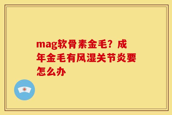 mag软骨素金毛？成年金毛有风湿关节炎要怎么办