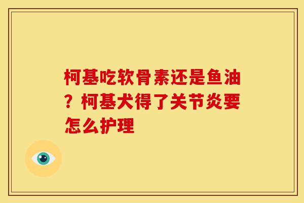 柯基吃软骨素还是鱼油？柯基犬得了关节炎要怎么护理
