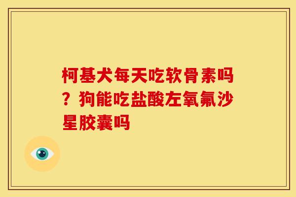 柯基犬每天吃软骨素吗？狗能吃盐酸左氧氟沙星胶囊吗
