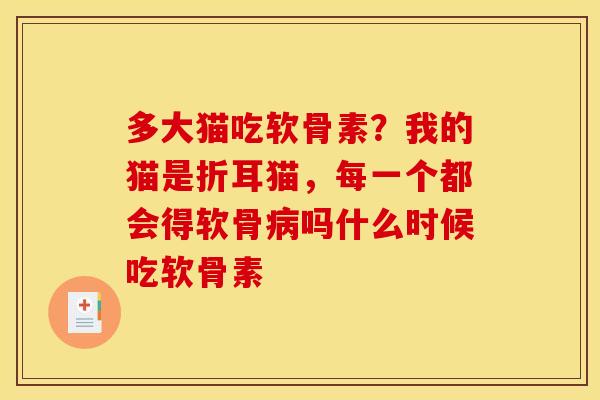 多大猫吃软骨素？我的猫是折耳猫，每一个都会得软骨病吗什么时候吃软骨素