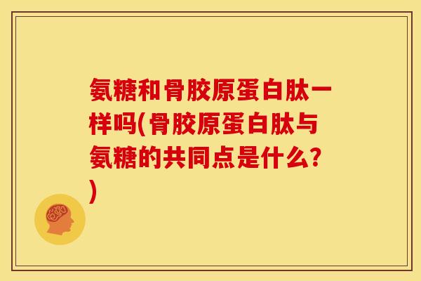 氨糖和骨胶原蛋白肽一样吗(骨胶原蛋白肽与氨糖的共同点是什么？)