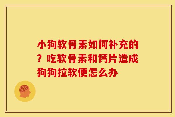 小狗软骨素如何补充的?吃软骨素和钙片造成狗狗拉软便怎么办-第1张图片-关节骑士 小狗软骨素如何补充的?吃软骨素和钙片造成狗狗拉软便怎么办-第1张图片-关节骑士
