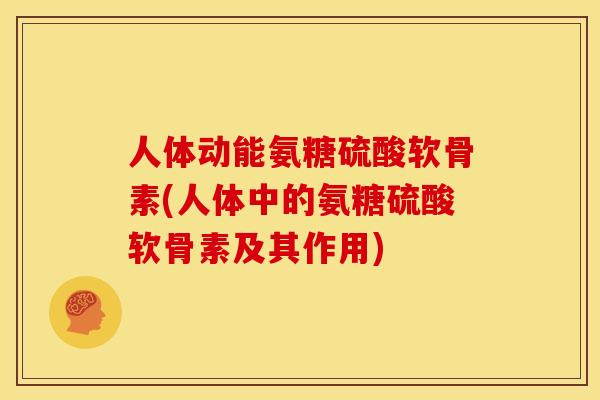 人体动能氨糖硫酸软骨素(人体中的氨糖硫酸软骨素及其作用)