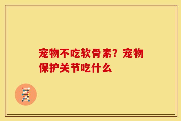 宠物不吃软骨素？宠物保护关节吃什么