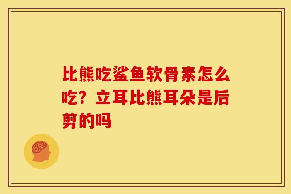 比熊吃鲨鱼软骨素怎么吃？立耳比熊耳朵是后剪的吗