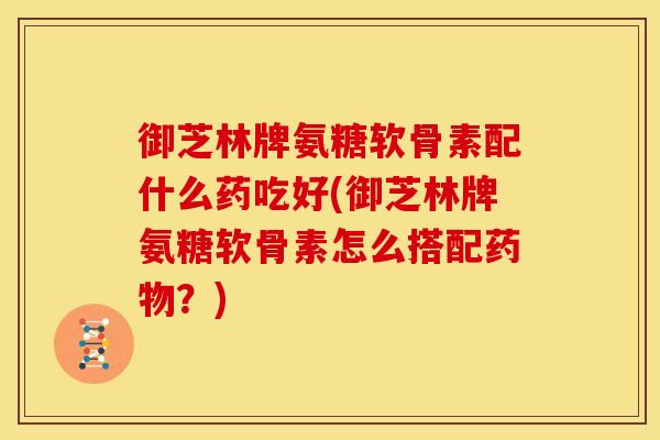 御芝林牌氨糖软骨素配什么药吃好(御芝林牌氨糖软骨素怎么搭配药物？)