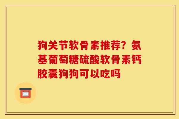 狗关节软骨素推荐？氨基葡萄糖硫酸软骨素钙胶囊狗狗可以吃吗