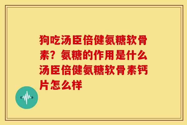 狗吃汤臣倍健氨糖软骨素？氨糖的作用是什么汤臣倍健氨糖软骨素钙片怎么样