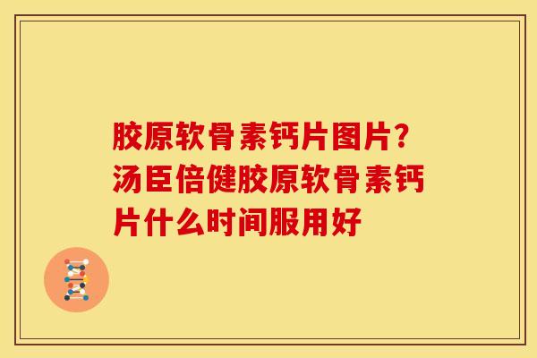 胶原软骨素钙片图片？汤臣倍健胶原软骨素钙片什么时间服用好