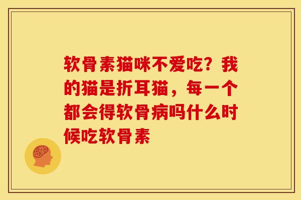软骨素猫咪不爱吃？我的猫是折耳猫，每一个都会得软骨病吗什么时候吃软骨素