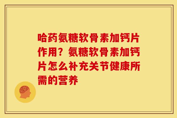 哈药氨糖软骨素加钙片作用？氨糖软骨素加钙片怎么补充关节健康所需的营养