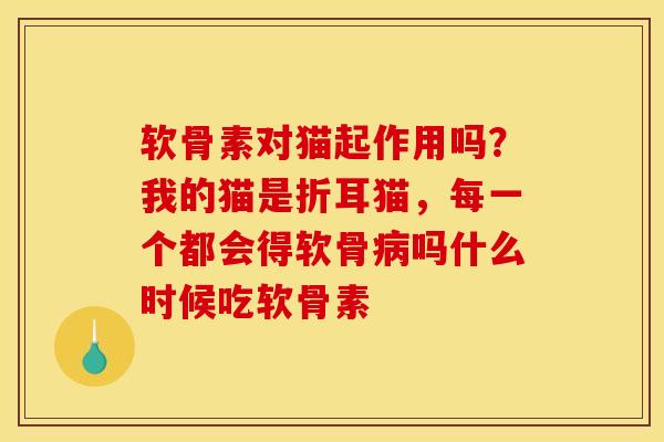 软骨素对猫起作用吗？我的猫是折耳猫，每一个都会得软骨病吗什么时候吃软骨素-第1张图片-关节骑士