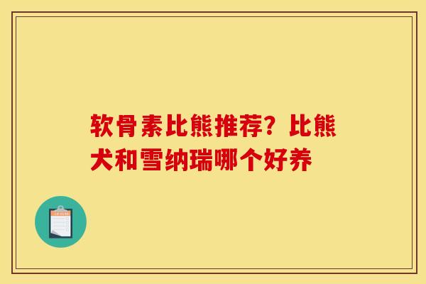 软骨素比熊推荐？比熊犬和雪纳瑞哪个好养