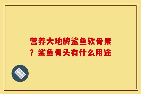营养大地牌鲨鱼软骨素？鲨鱼骨头有什么用途