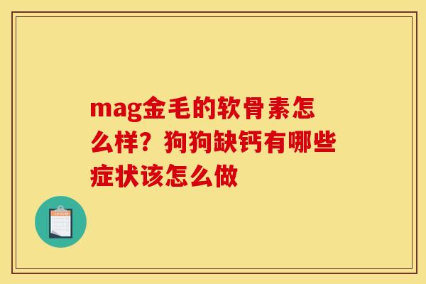 mag金毛的软骨素怎么样？狗狗缺钙有哪些症状该怎么做