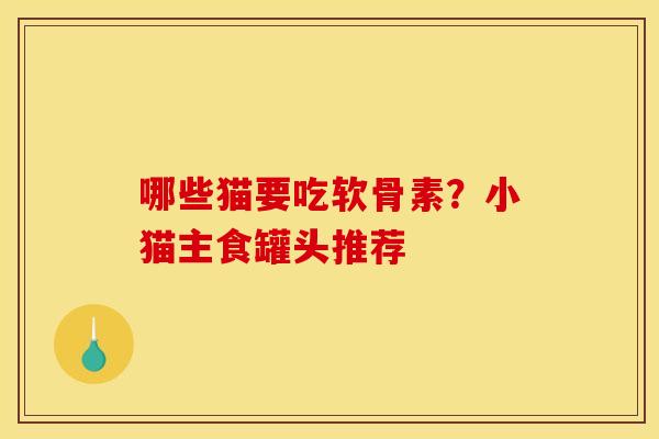 哪些猫要吃软骨素？小猫主食罐头推荐
