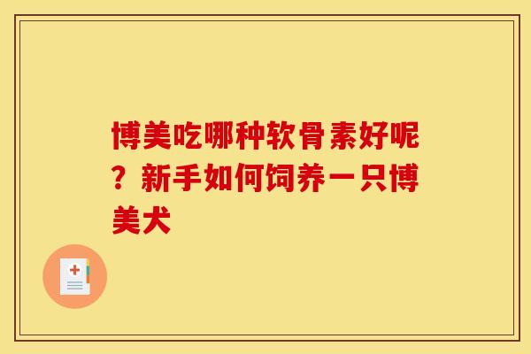 博美吃哪种软骨素好呢？新手如何饲养一只博美犬