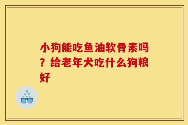小狗能吃鱼油软骨素吗？给老年犬吃什么狗粮好