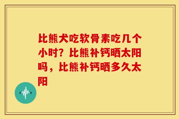 比熊犬吃软骨素吃几个小时？比熊补钙晒太阳吗，比熊补钙晒多久太阳