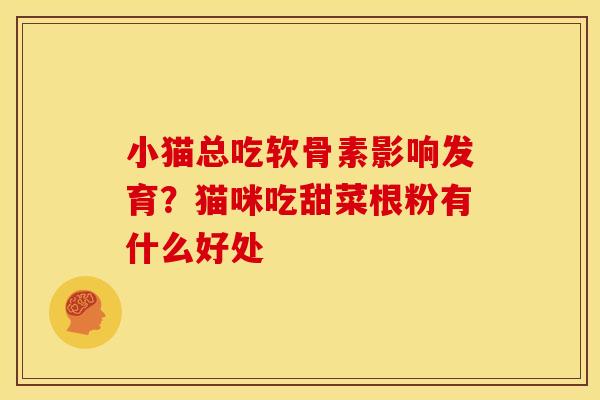 小猫总吃软骨素影响发育？猫咪吃甜菜根粉有什么好处
