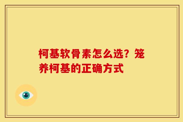 柯基软骨素怎么选？笼养柯基的正确方式