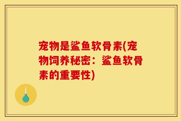 宠物是鲨鱼软骨素(宠物饲养秘密：鲨鱼软骨素的重要性)