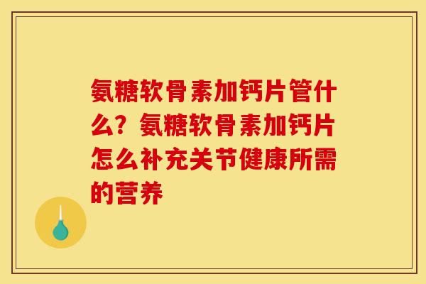 氨糖软骨素加钙片管什么？氨糖软骨素加钙片怎么补充关节健康所需的营养