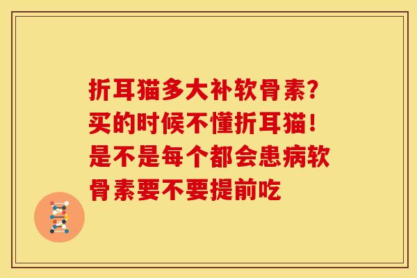 折耳猫多大补软骨素？买的时候不懂折耳猫！是不是每个都会患病软骨素要不要提前吃