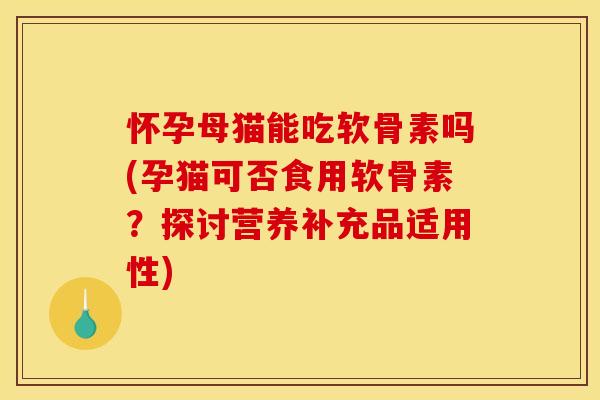 怀孕母猫能吃软骨素吗(孕猫可否食用软骨素？探讨营养补充品适用性)