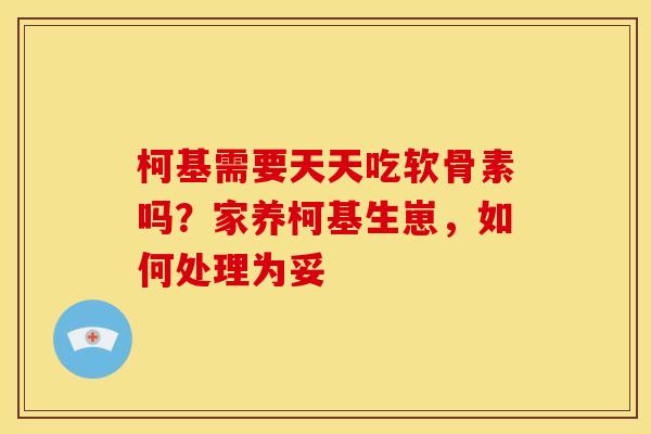 柯基需要天天吃软骨素吗？家养柯基生崽，如何处理为妥