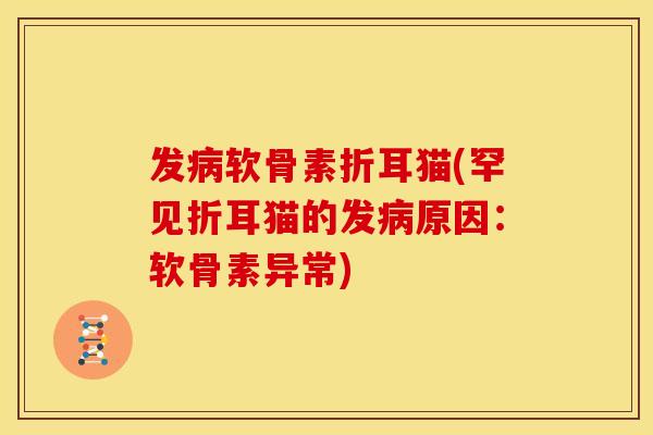 发病软骨素折耳猫(罕见折耳猫的发病原因：软骨素异常)