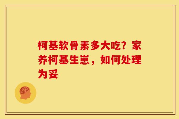 柯基软骨素多大吃？家养柯基生崽，如何处理为妥