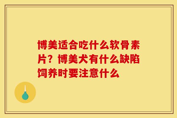 博美适合吃什么软骨素片？博美犬有什么缺陷饲养时要注意什么