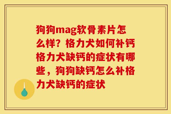 狗狗mag软骨素片怎么样？格力犬如何补钙格力犬缺钙的症状有哪些，狗狗缺钙怎么补格力犬缺钙的症状