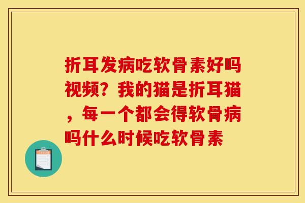 折耳发病吃软骨素好吗视频？我的猫是折耳猫，每一个都会得软骨病吗什么时候吃软骨素