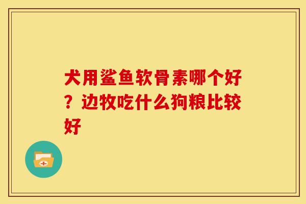犬用鲨鱼软骨素哪个好？边牧吃什么狗粮比较好