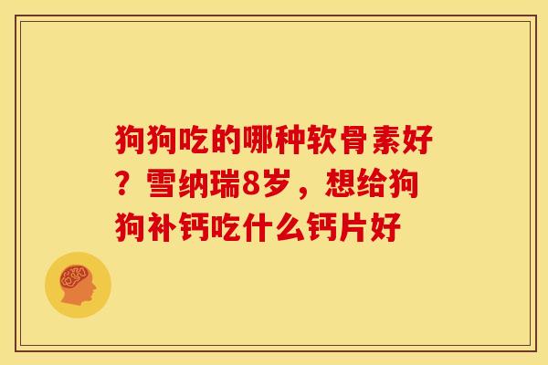 狗狗吃的哪种软骨素好？雪纳瑞8岁，想给狗狗补钙吃什么钙片好