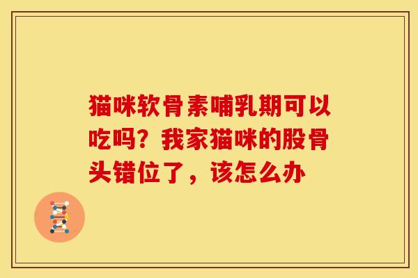 猫咪软骨素哺乳期可以吃吗？我家猫咪的股骨头错位了，该怎么办