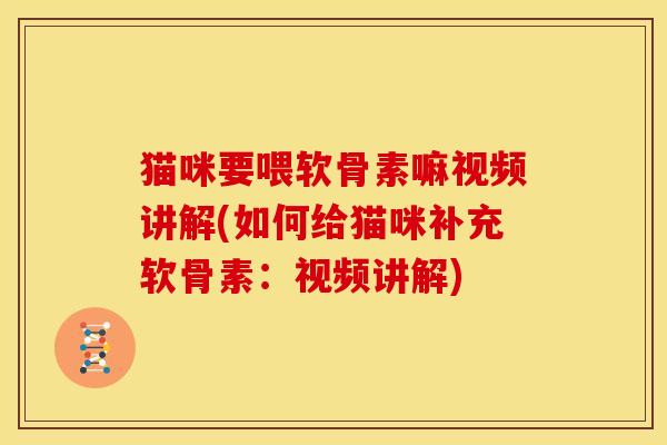 猫咪要喂软骨素嘛视频讲解(如何给猫咪补充软骨素：视频讲解)